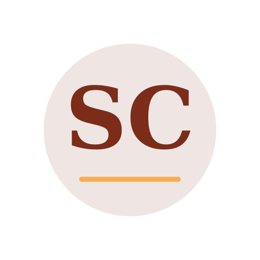 Solro Chimney Services logo